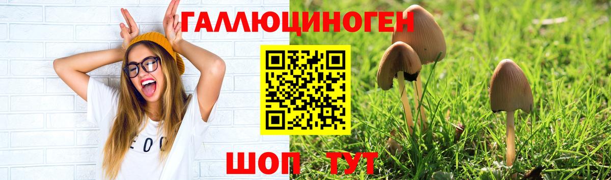 даркнет сайт  Галлюциногенные грибы GOLDEN TEACHER  Галлюциногенные грибы ЛСД  Вход с VPN  Усинск 